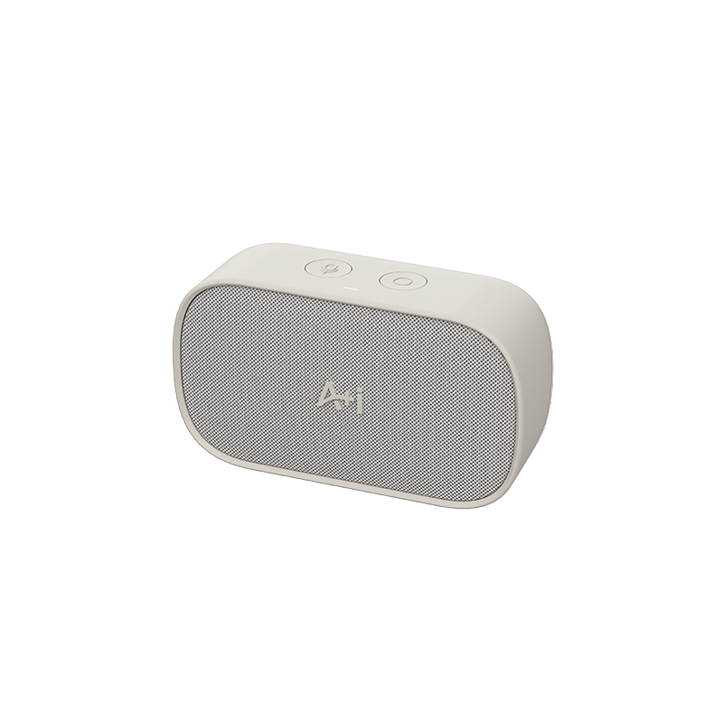 AI Speaker
